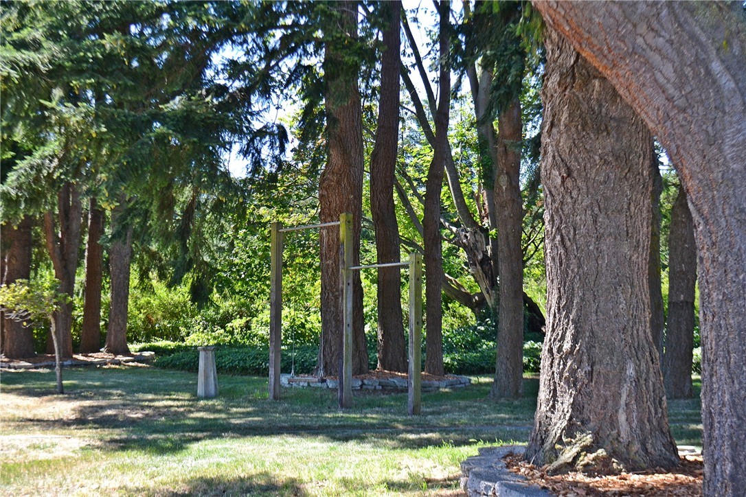 5791 Double Bluff Road Freeland, WA 98249 - Photo 16 of 25 a view of a tree in a yard