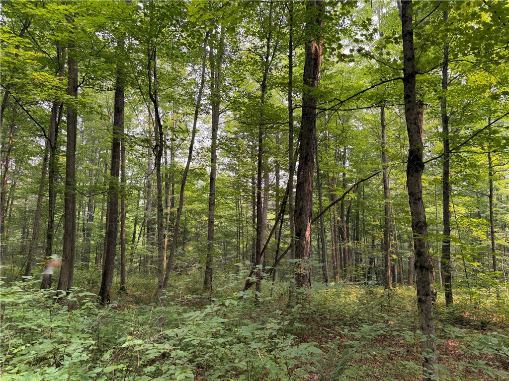 Wp01 Starr Road Campbell, NY 14821 - Photo 33 of 50 Gallery Image 33
