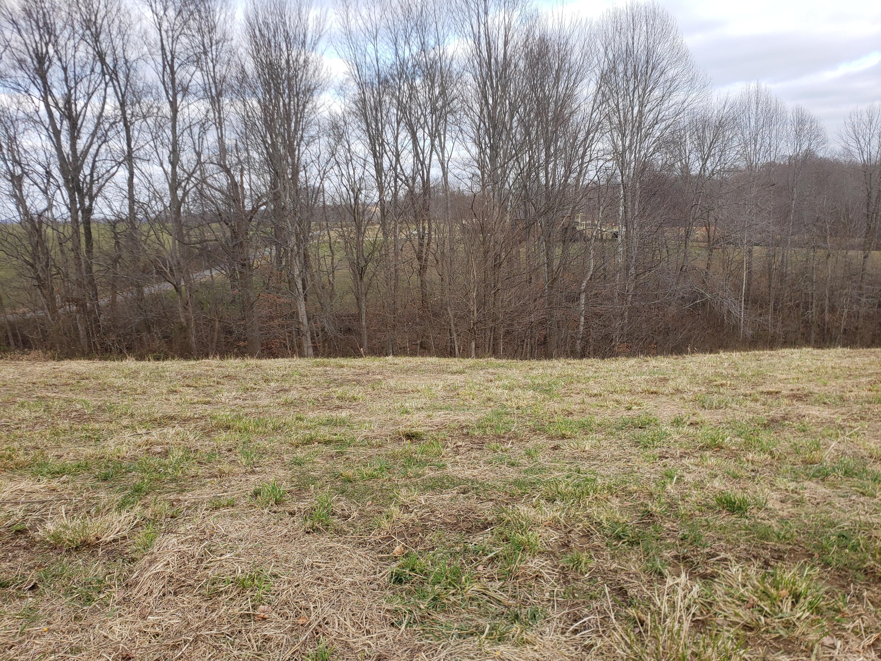 64 Raney Road Yosemite, KY 42566 - Photo 7 of 21 20191207_153058