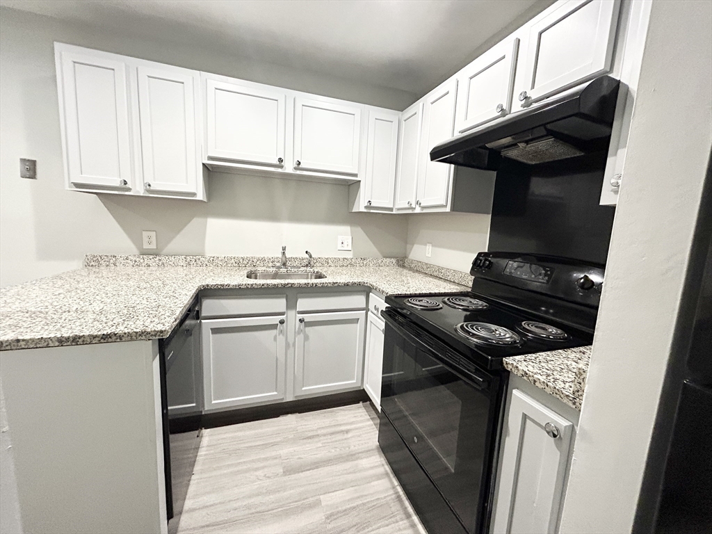 15 Ruggles Street, Unit 2 Boston, MA 02119 - Photo 1 of 11 Gallery Image 1