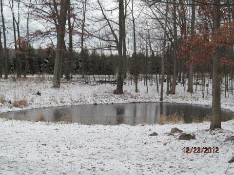 8326 Washburn Road Goodrich, MI 48438 - Photo 11 of 46 20265482-10.JPG