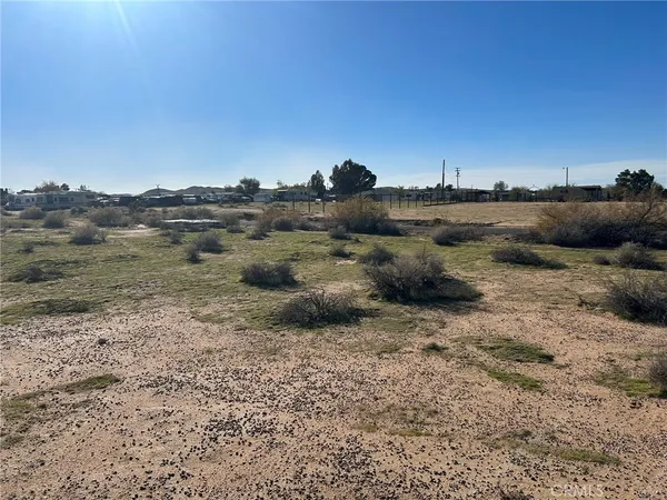a view of a dry yard with and trees