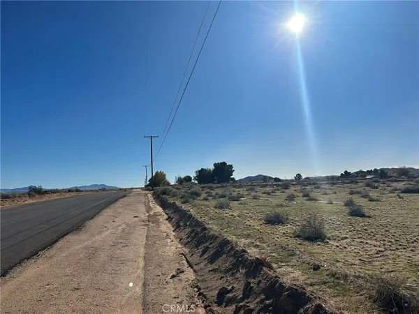 a view of a dry yard