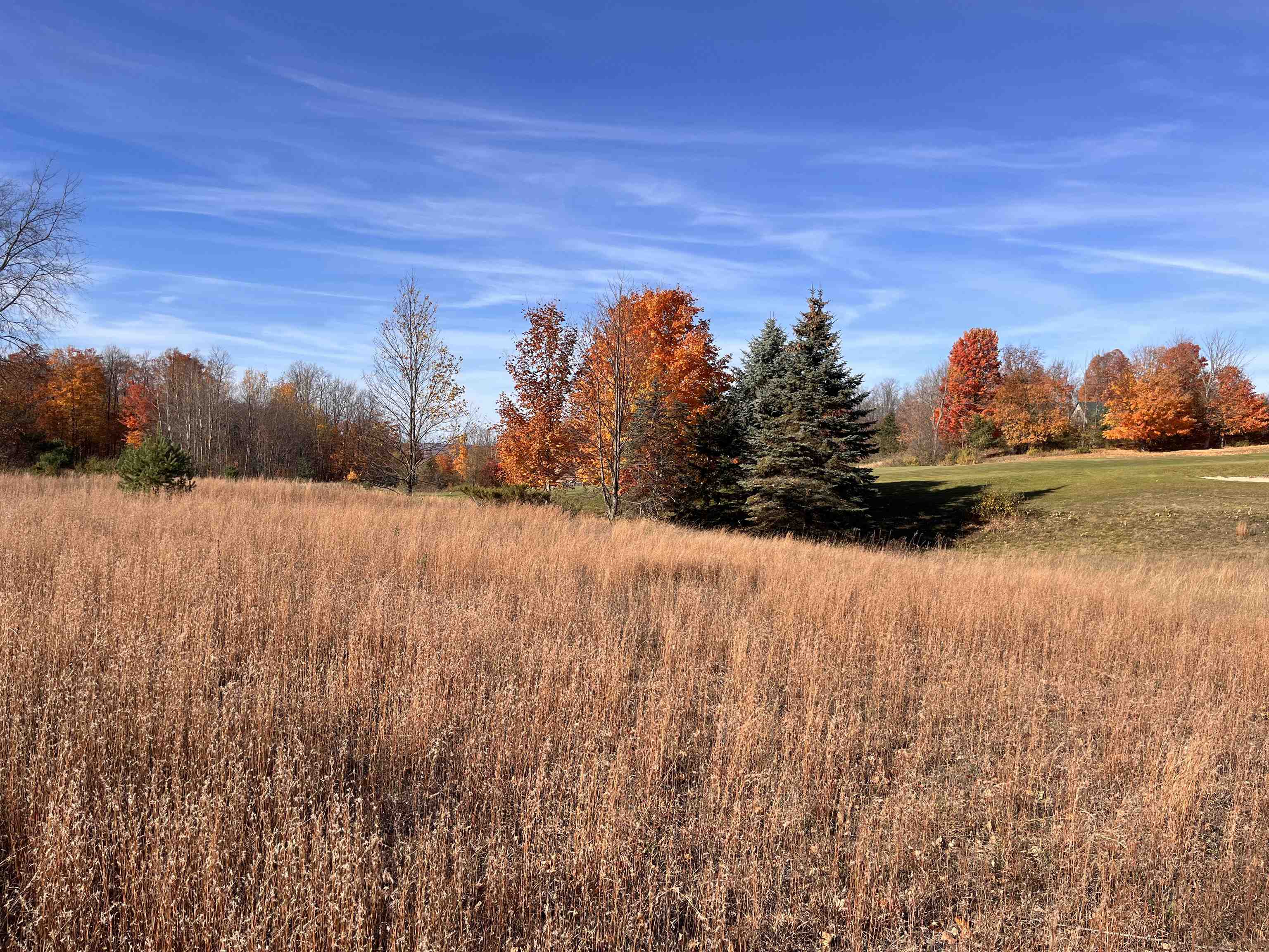 Vl Raptor Run, Unit LOT: 202 Bellaire, MI 49615 - Photo 5 of 11 Gallery Image 5