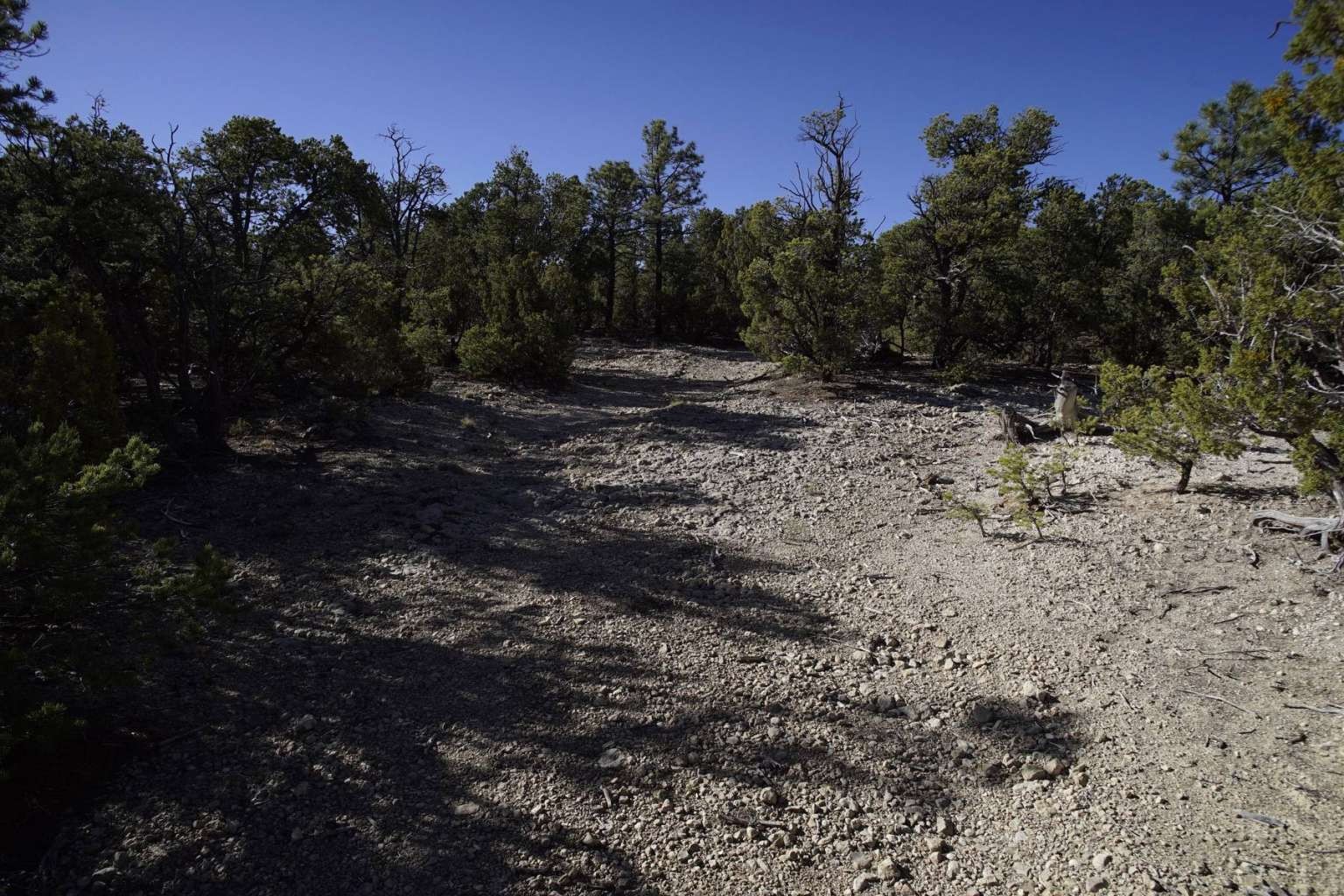 0 Pinon Ridge Road Pecos, NM 87552 - Photo 7 of 39