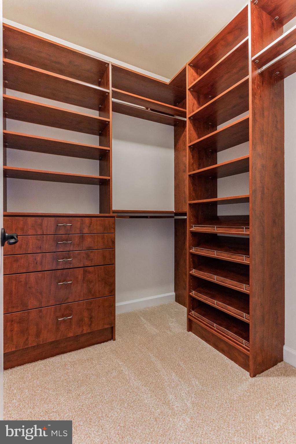 4927 Collingtons Bounty Drive Bowie, MD 20720 - Photo 24 of 38 a view of walk in closet with empty racks