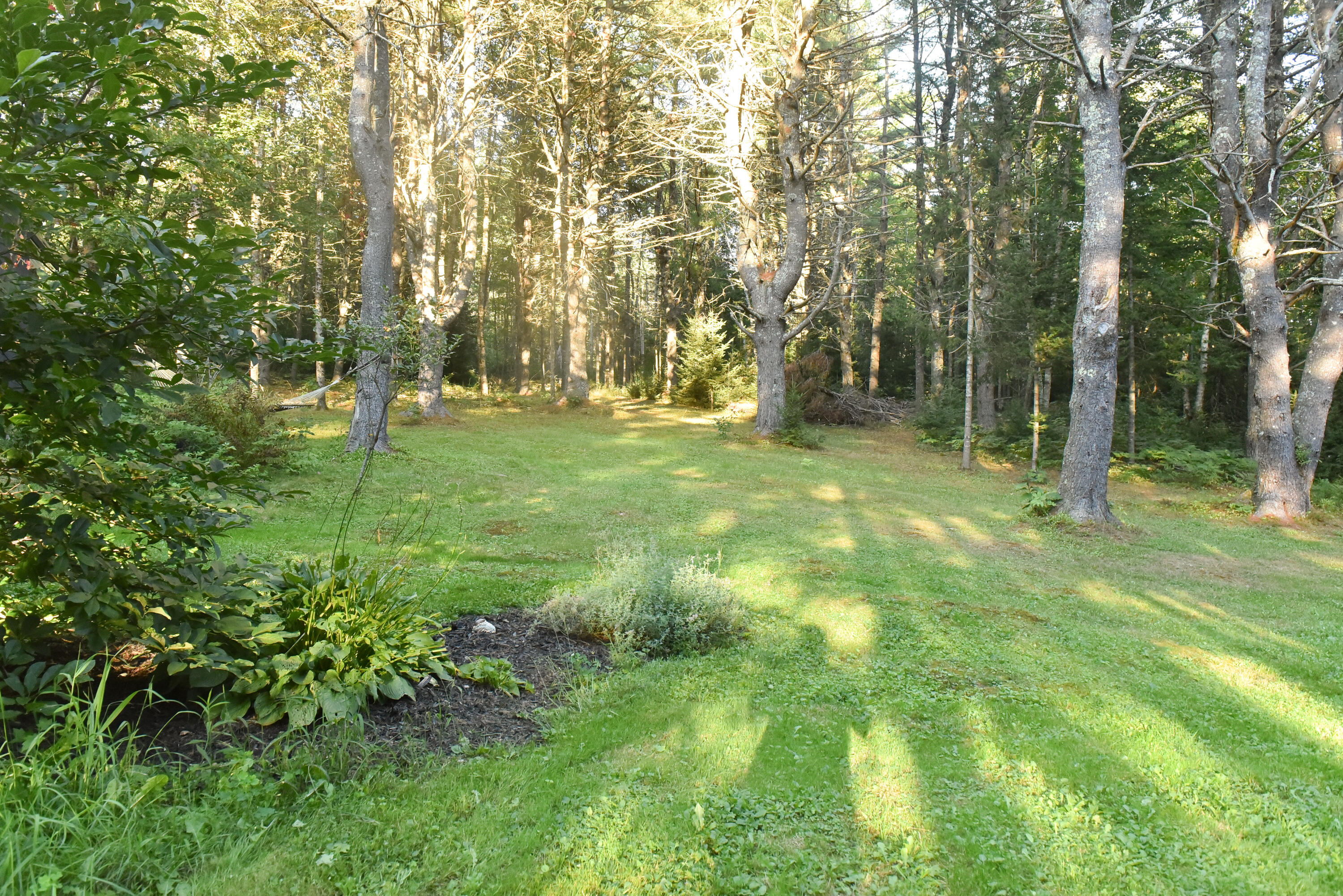 477 North Penobscot Road Penobscot, ME 04476 - Photo 80 of 101 DSC_1614