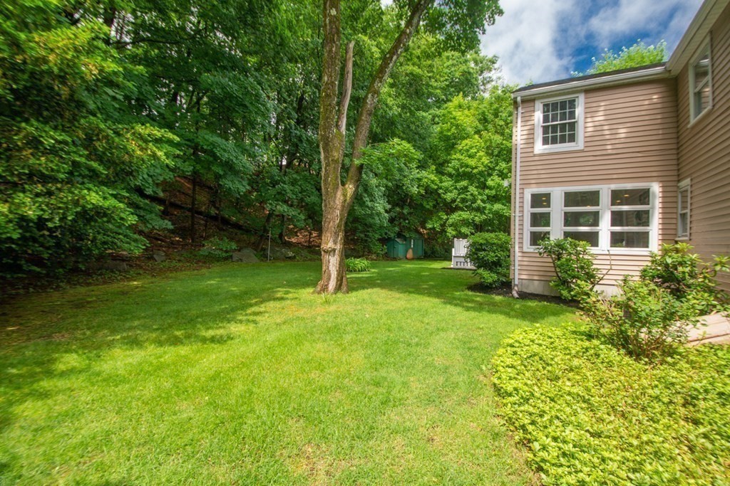 65 Longfellow Road Newton, MA 02462 - Photo 31 of 38 a backyard of a house with plants and large tree