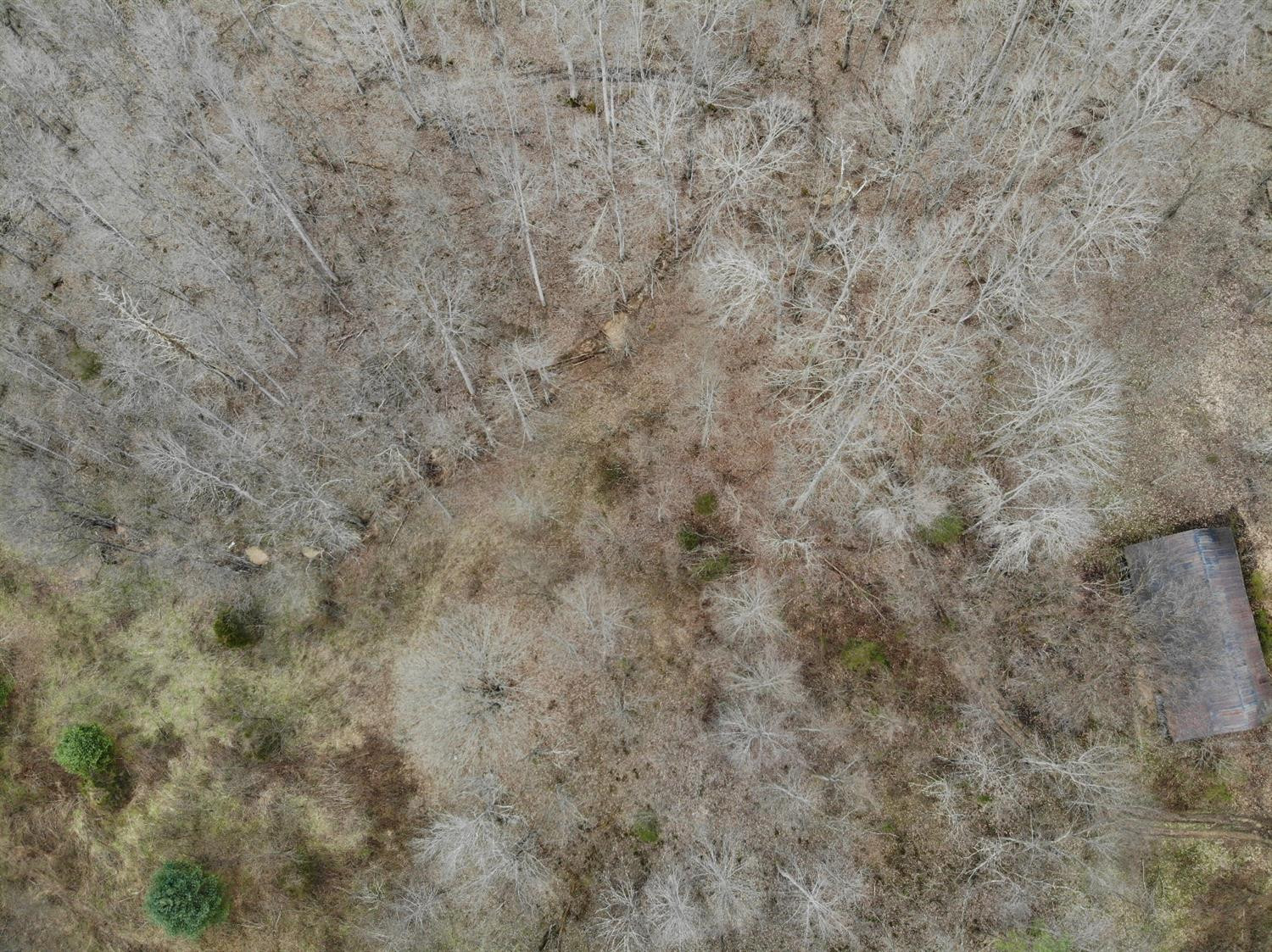 567 Chestnut Flat School Road McKee, KY 40447 - Photo 61 of 68 Photo 61