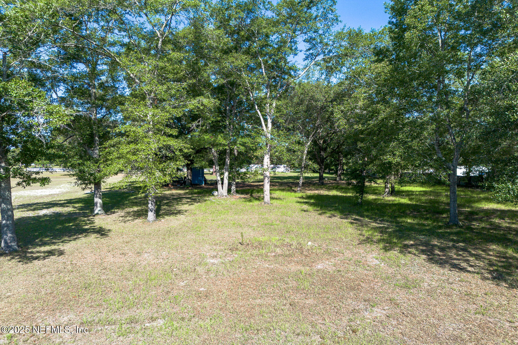 5150 Mallard Road Middleburg, FL 32068 - Photo 6 of 12 Rear Center