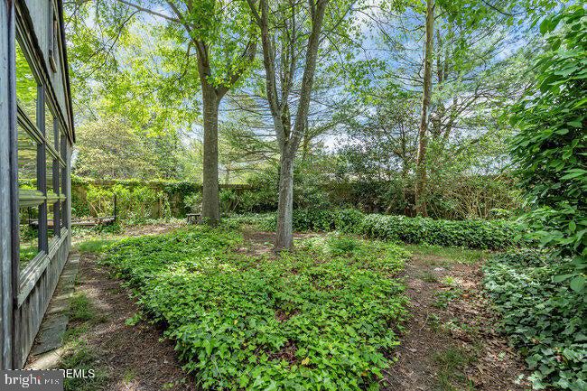 305 Nautilus Boulevard Forked River, NJ 08731 - Photo 26 of 28 a view of lush green forest