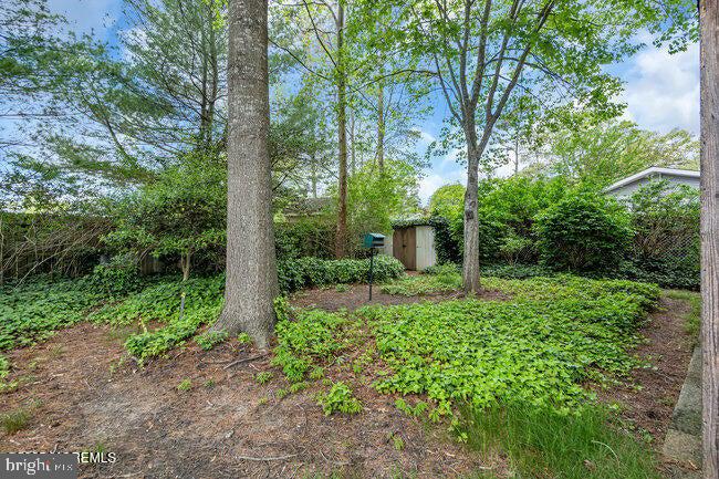 305 Nautilus Boulevard Forked River, NJ 08731 - Photo 27 of 28 a view of a garden with plants