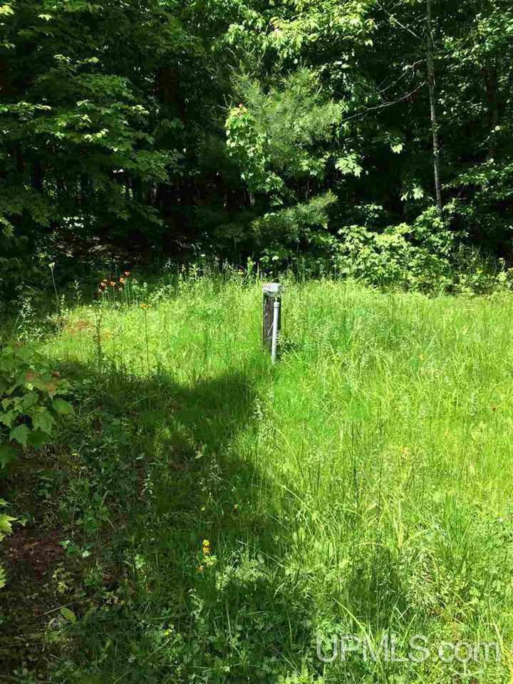 245 Maple Grove Road Skandia, MI 49885 - Photo 12 of 14