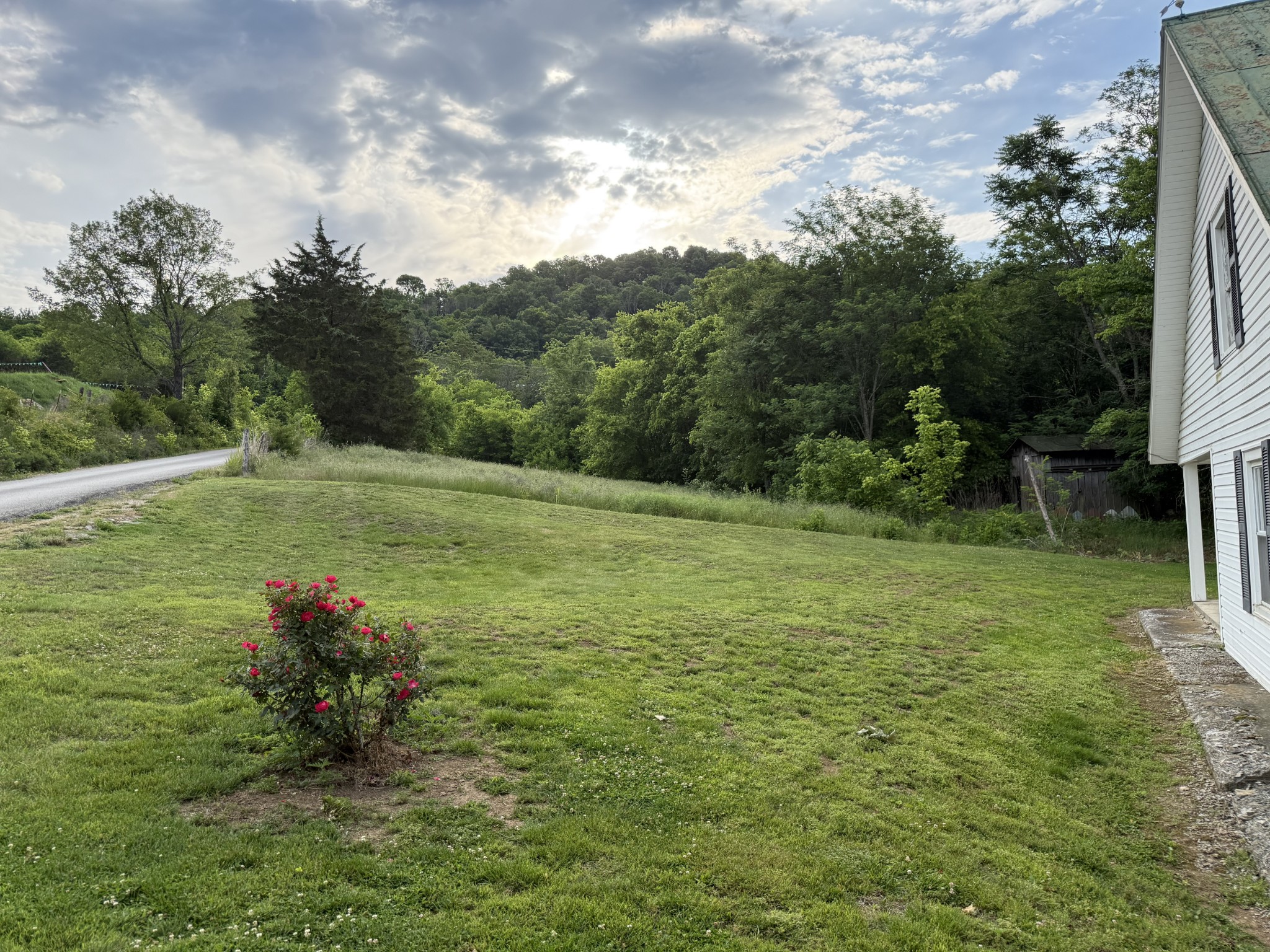 328 Young Branch Road Dixon Springs, TN 37057 - Photo 25 of 30