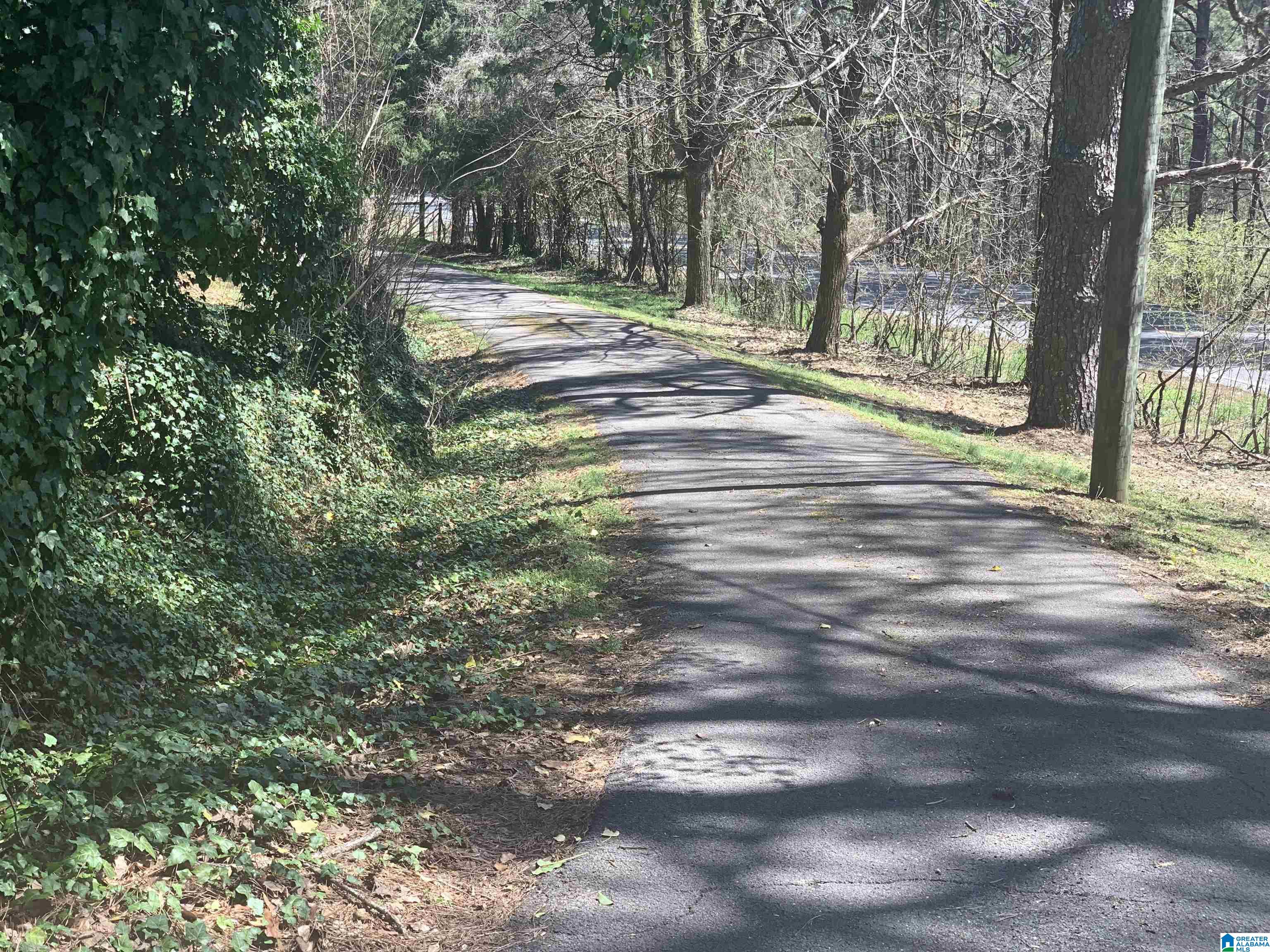 9469 Highway 11 Springville, AL 35146 - Photo 8 of 29