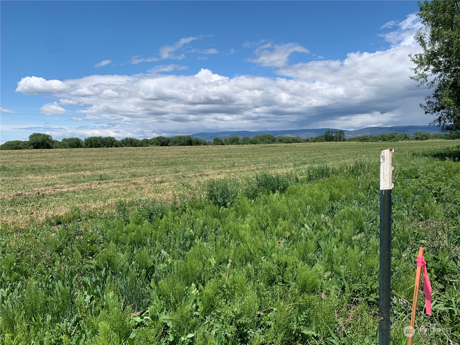 5 X Watson Road Ellensburg, WA 98926 - Photo 8 of 14 Gallery Image 8