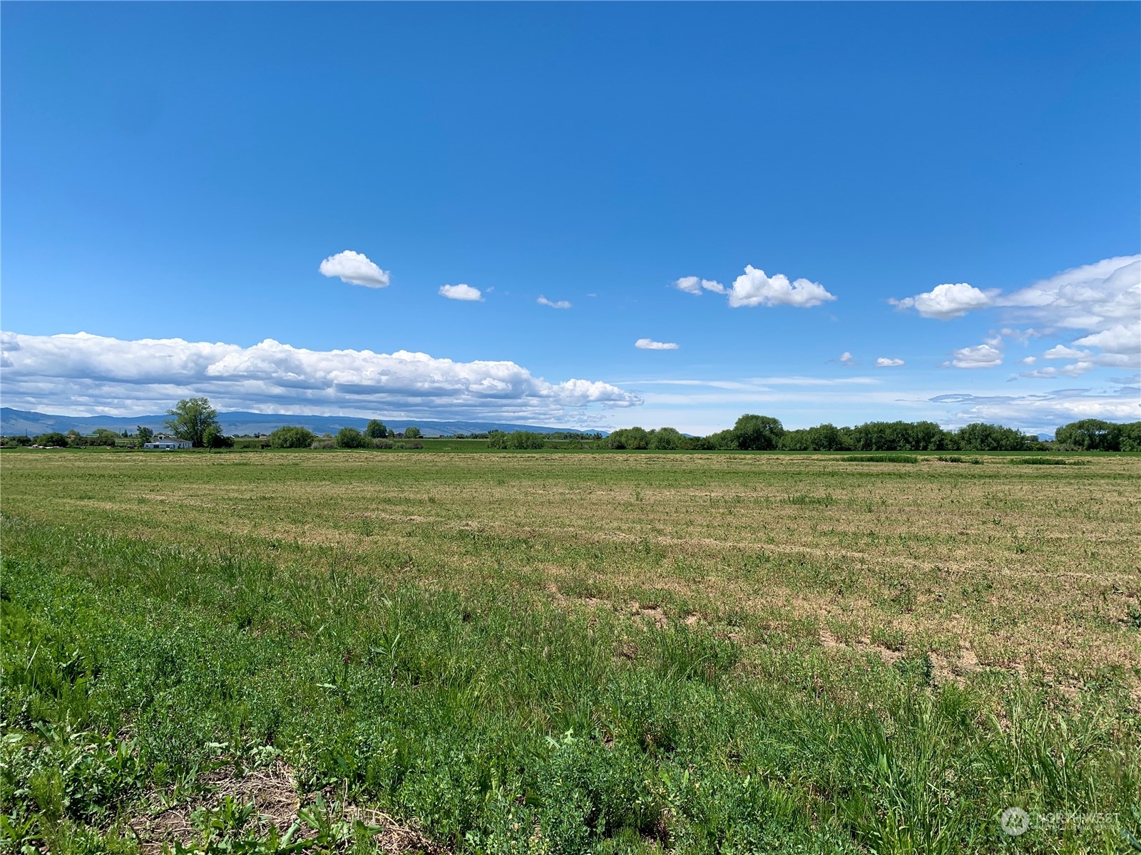 5 X Watson Road Ellensburg, WA 98926 - Photo 9 of 14 Gallery Image 9