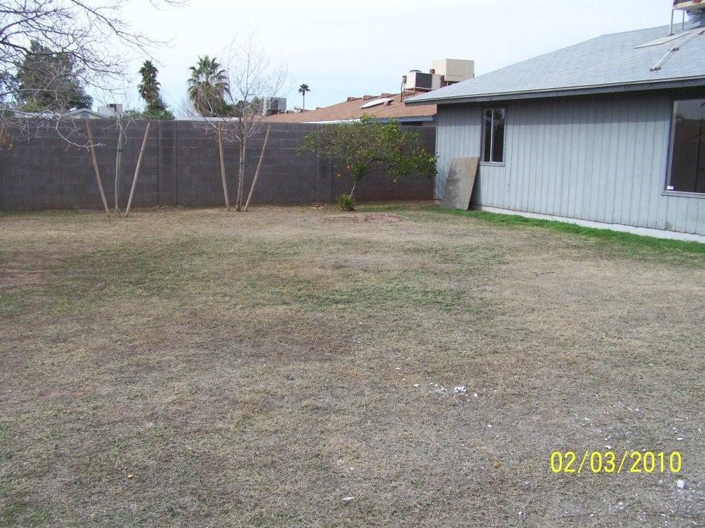 BACK YARD