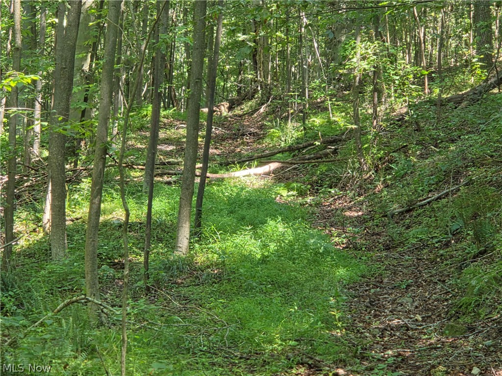 Midvale Mine Road Dennison, OH 44621 - Photo 13 of 16 Gallery Image 13