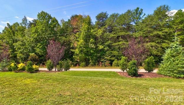 4535 Stellata Loop Sherrills Ford, NC 28673 - Photo 4 of 14