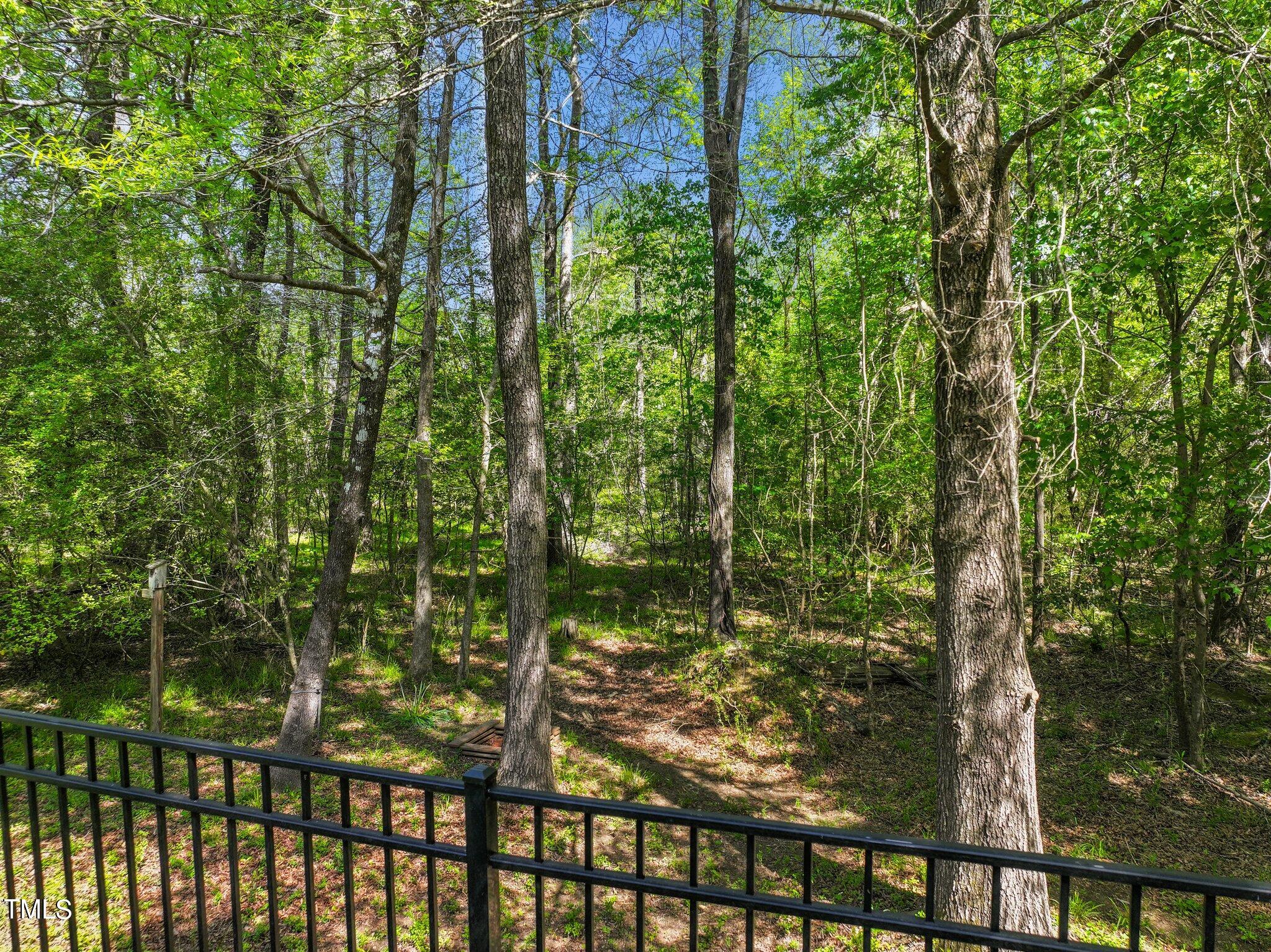 2920 Chatelaine Place Raleigh, NC 27614 - Photo 56 of 78 53-web-or-mls-DJI_20240414194116_0207_D