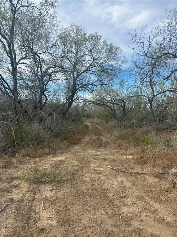 0 72nd Highway Three Rivers, TX 78071 - Photo 11 of 11 a view of a dry yard with trees