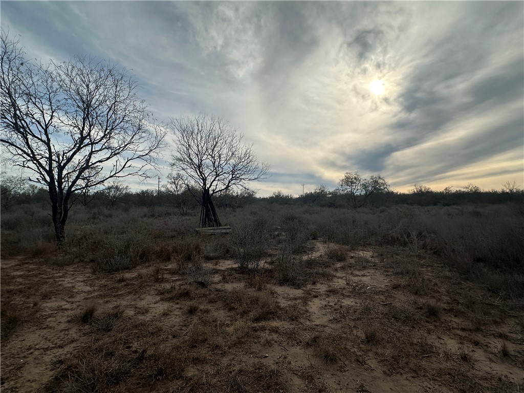 518 72nd Three Rivers, TX 78071 - Photo 3 of 10 a view of a yard with a bench and trees