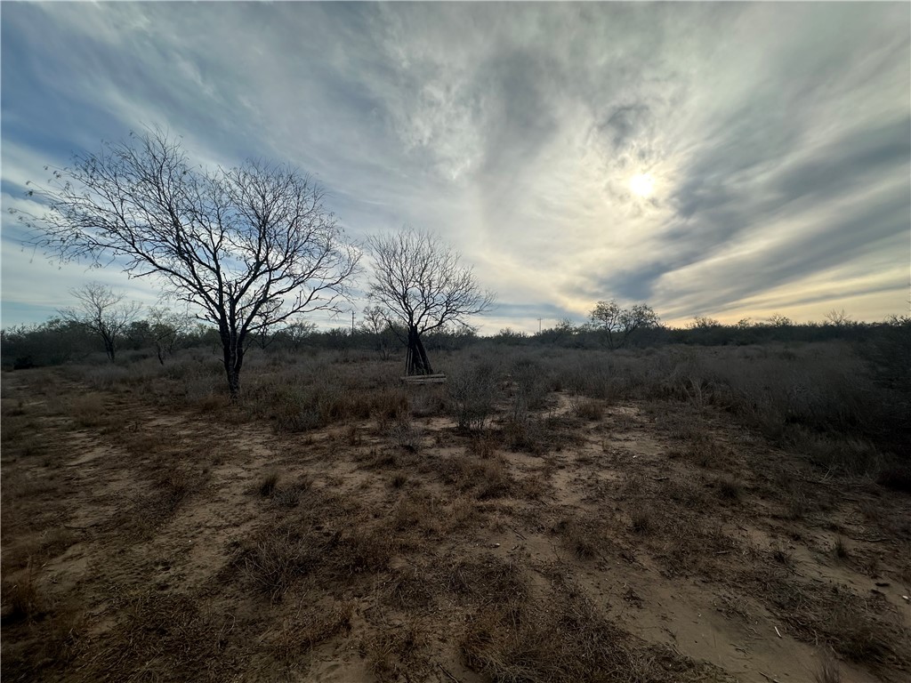 0 72nd Highway Three Rivers, TX 78071 - Photo 3 of 11 a view of a yard with a tree