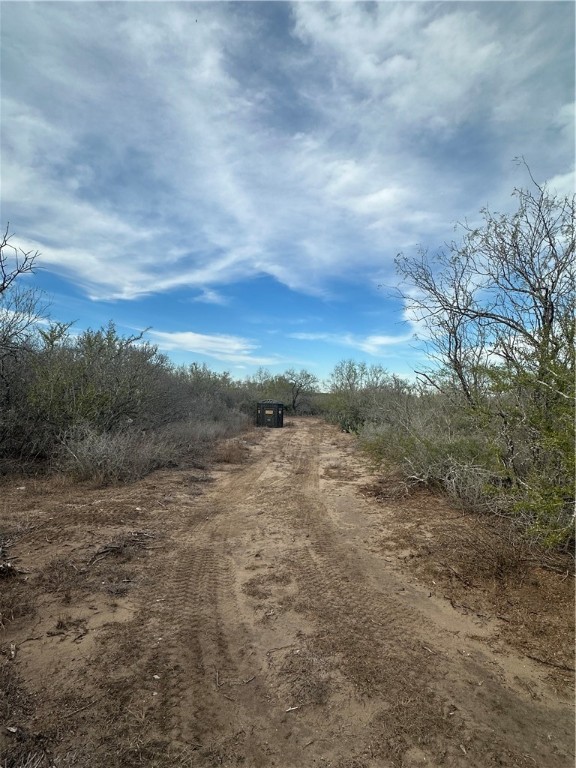 518 72nd Three Rivers, TX 78071 - Photo 5 of 10 a view of an outdoor space with a lake