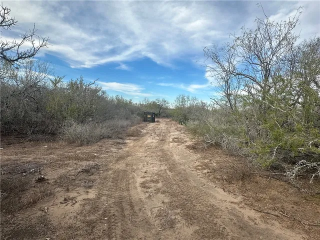a view of a field with trees in the background