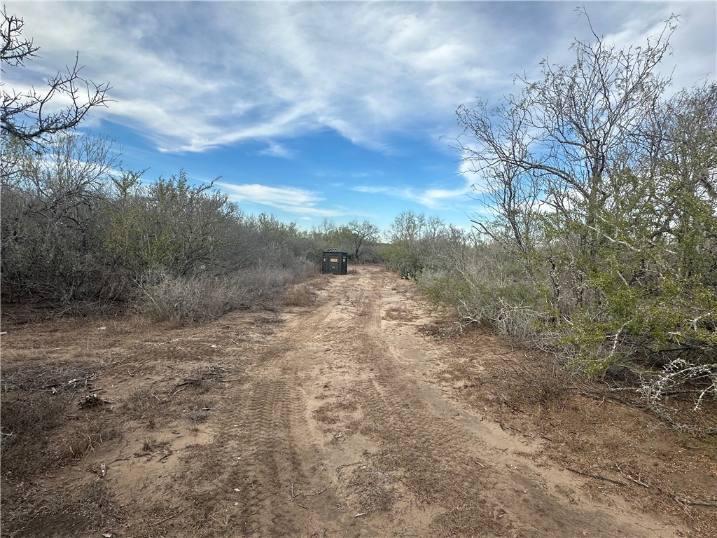 518 72nd Three Rivers, TX 78071 - Photo 6 of 10 a view of a field with trees in the background
