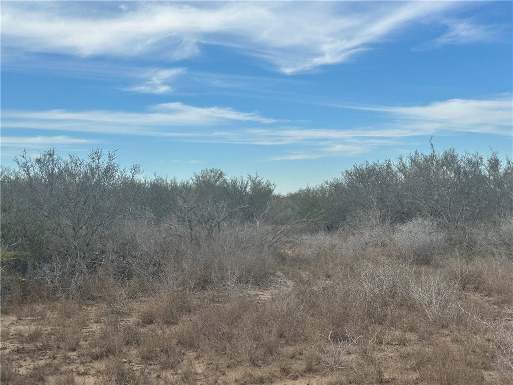 518 72nd Three Rivers, TX 78071 - Photo 7 of 10 a view of a field with trees in background