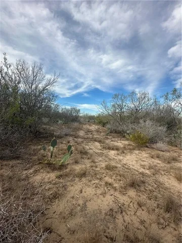 a view of a field of trees