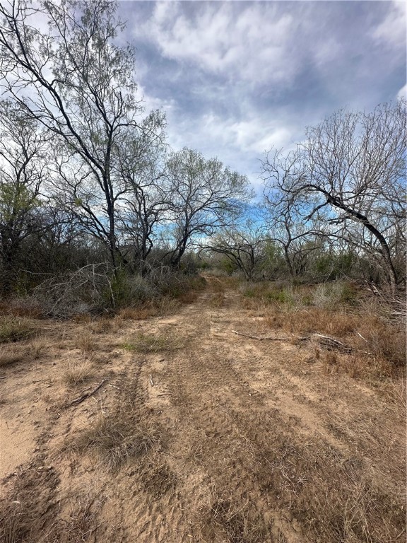 518 72nd Three Rivers, TX 78071 - Photo 9 of 10 a view of a dry yard with trees