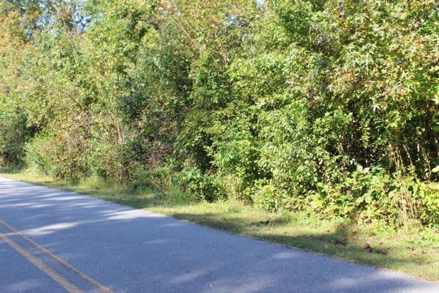 458 Camp Creek Road Central, SC 29630 - Photo 12 of 12
