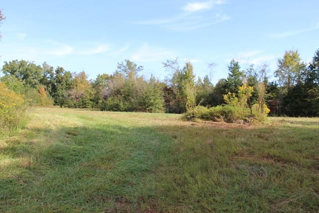 458 Camp Creek Road Central, SC 29630 - Photo 2 of 12