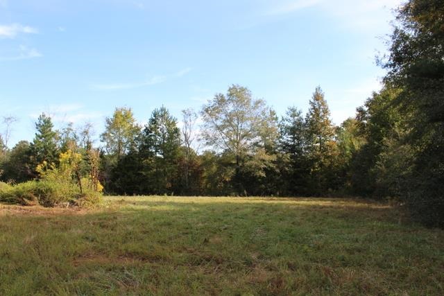 458 Camp Creek Road Central, SC 29630 - Photo 3 of 12