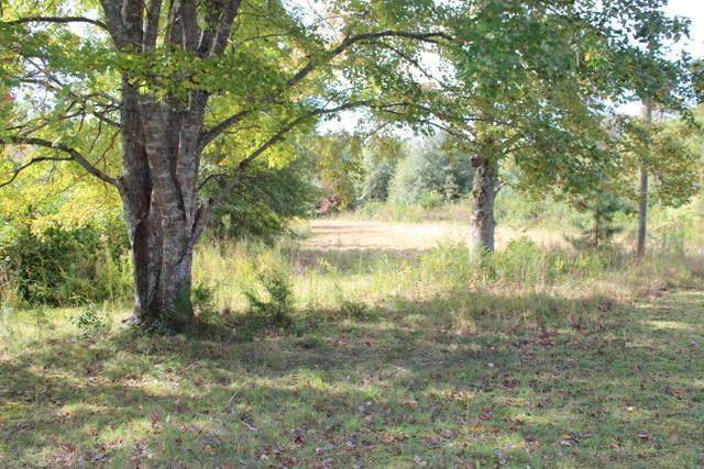 458 Camp Creek Road Central, SC 29630 - Photo 6 of 12