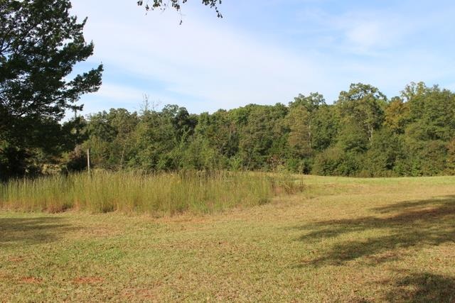 458 Camp Creek Road Central, SC 29630 - Photo 9 of 12
