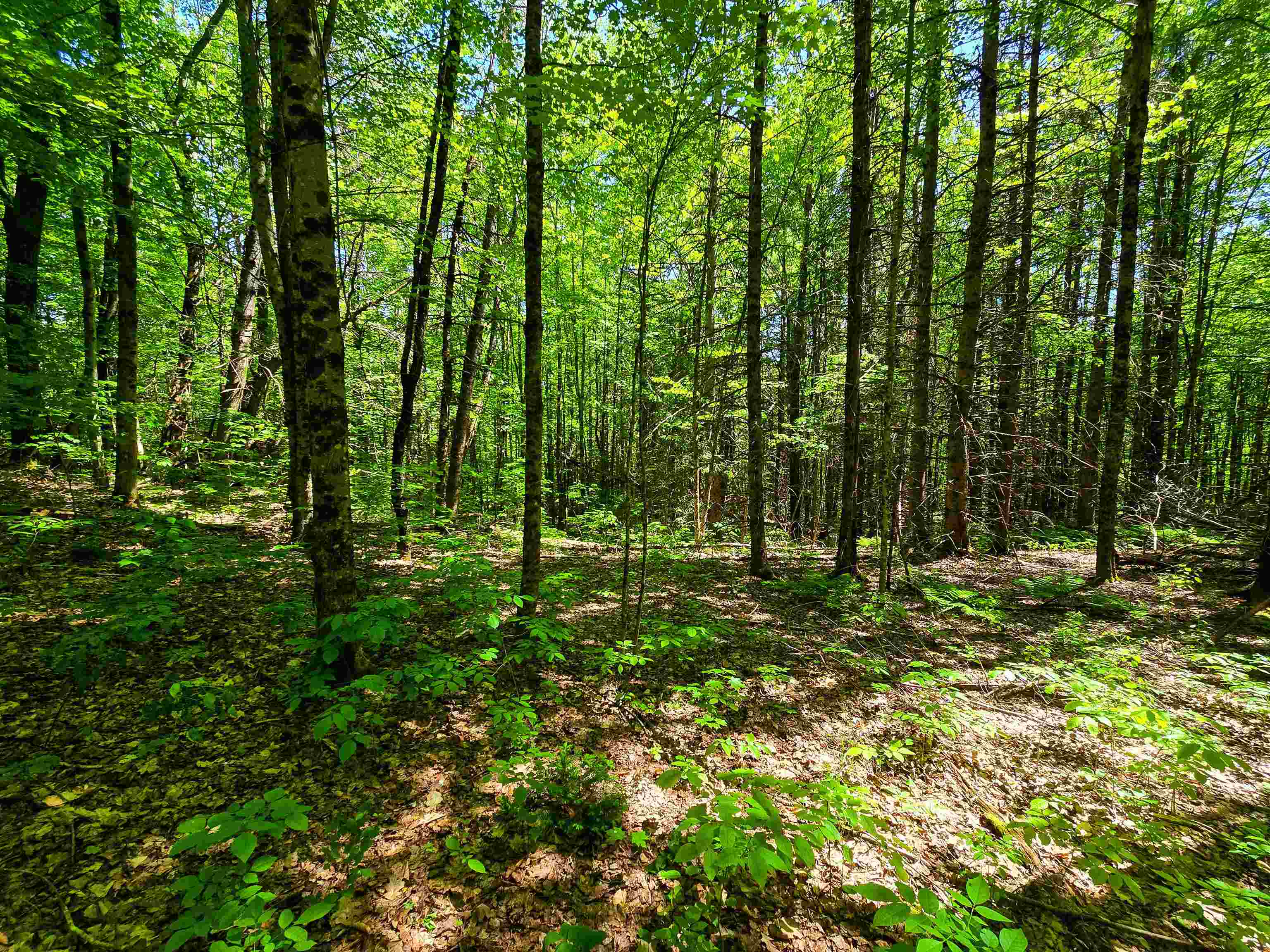 1905 Camp Munn Road Bradford, VT 05033 - Photo 8 of 22