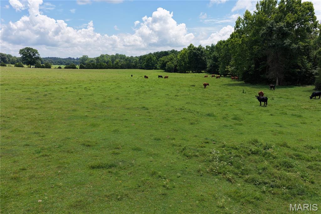 Tbd Fairview Road Imboden, AR 72434 - Photo 5 of 24