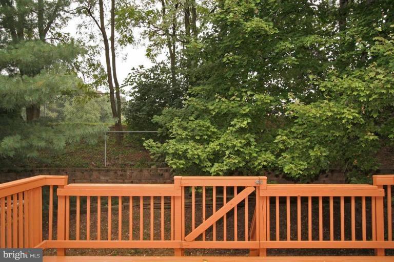 3630 Ransom Place Alexandria, VA 22306 - Photo 7 of 19 Deck - View from