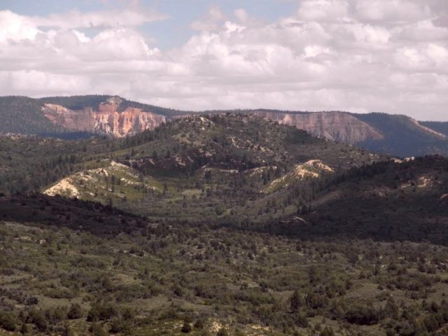 MAIN PHOTO