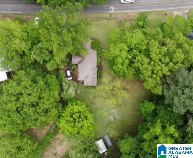 4446 Bell Hill Road Bessemer, AL 35022 - Photo 4 of 4