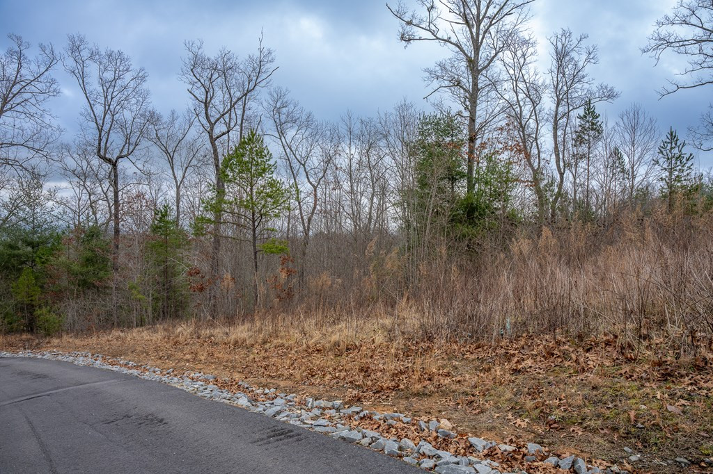 Lot 63 Lake Wood Road Murphy, NC 28906 - Photo 19 of 28