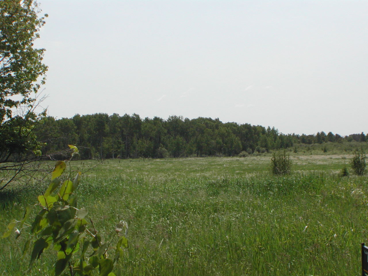 0 East 10 Mile Road Dafter, MI 49724 - Photo 4 of 9 Gallery Image 4