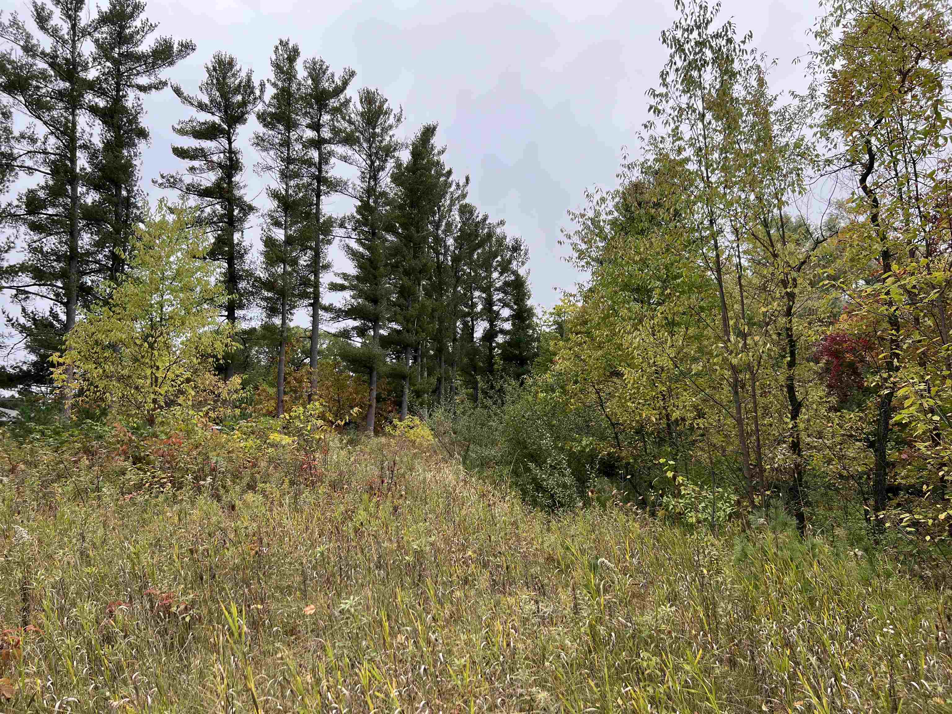 0 Bass Lake Road Traverse City, MI 49685 - Photo 7 of 11 1916755-6.JPG