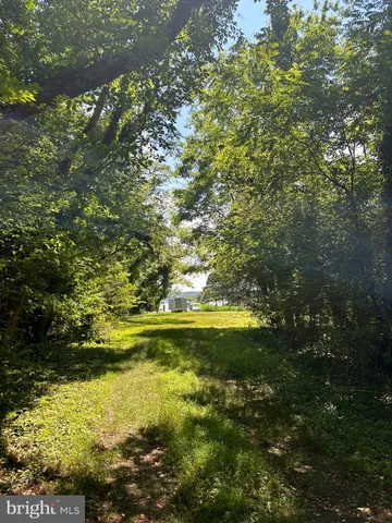 a view of an ocean from a yard
