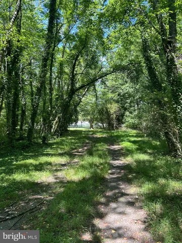 a big yard with lots of green space and trees