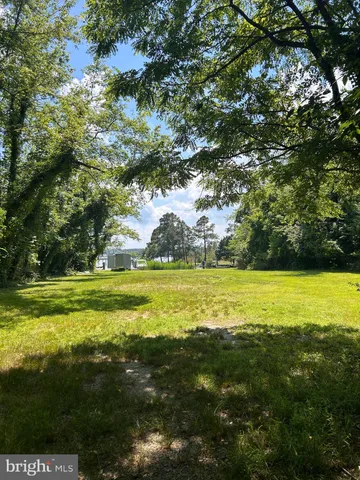 a view of a yard with an outdoor space